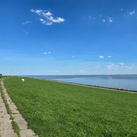 In Mit E-bike Verleih *