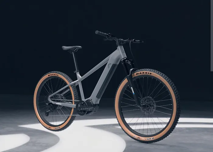 In Mit E-bike Verleih * Brunsbuttel
